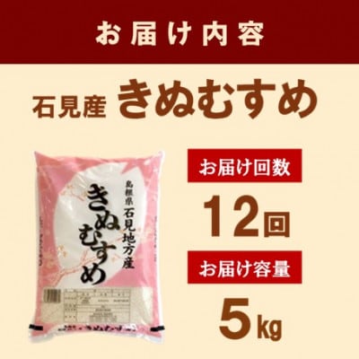 【毎月定期便】石見産きぬむすめ　5kg全12回