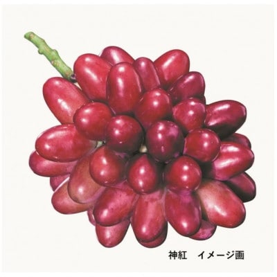 島根はまだの神紅ジャム(160g×2個)