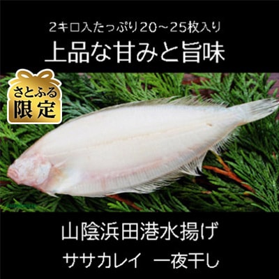【2025年6月中旬発送】【さとふる限定】山陰浜田産厳選笹カレイ干物2kg(20～25枚)うす塩味