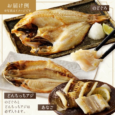山陰浜田産厳選の新鮮干物詰合せA　(のどぐろ 大2枚含む)