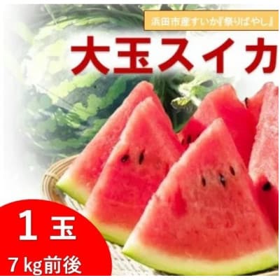 【7月～8月発送】浜田市三隅町産の歯ごたえのある甘い大玉スイカ1玉(約7kg前後)