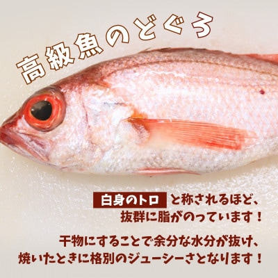 【さとふる限定】のどぐろ一夜干し　5～6枚で合計1.5kg以上「大満足セット」【10月～配送】