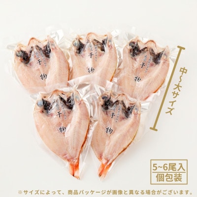 【さとふる限定】のどぐろ一夜干し　5～6枚で合計1.3kg以上「まんぷくセット」【10月～配送】