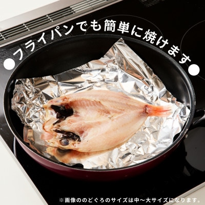 【さとふる限定】のどぐろ一夜干し　5～6枚で合計1.3kg以上「まんぷくセット」【10月～配送】