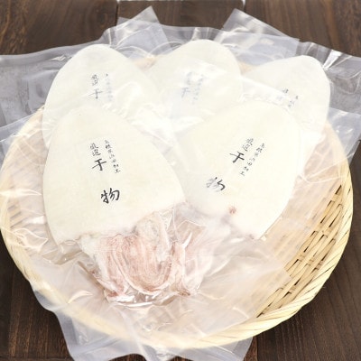 島根県産浜田市加工シーライフの真イカ(白いか)の一夜干し合計600g(4～6枚)真空包装で鮮度長持ち