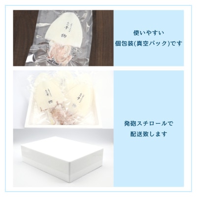 島根県産浜田市加工シーライフの真イカ(白いか)の一夜干し合計600g(4～6枚)真空包装で鮮度長持ち