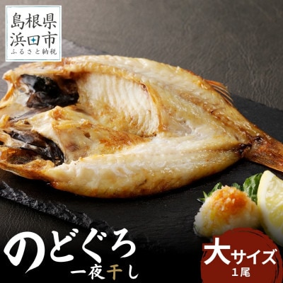 のどぐろ一夜干し個包装1枚「大サイズ・200g～250g」【10月～配送】