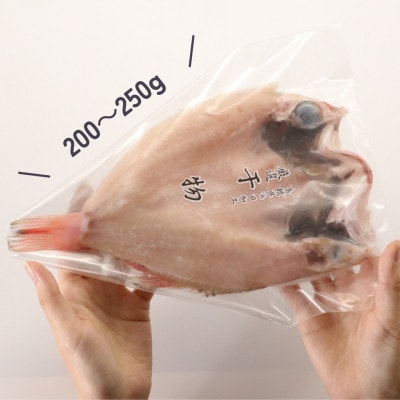 のどぐろ一夜干し個包装1枚「大サイズ・200g～250g」【10月～配送】