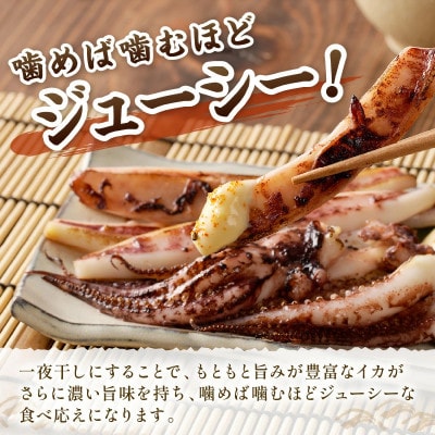 島根県産スルメイカ一夜干しカット済　計800g (小分け200g×4袋)
