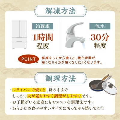 島根県産スルメイカ一夜干しカット済　計800g (小分け200g×4袋)