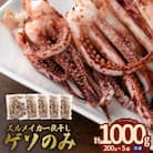 訳あり島根県産スルメイカ一夜干し「ゲソのみ」　計1.0kg(小分け200g×5)家族で楽しめる