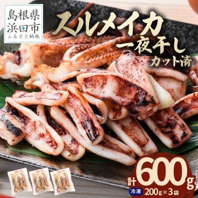 島根県産浜田市加工　食べ応え大満足のスルメイカ一夜干し(600g)【小分け個包装】