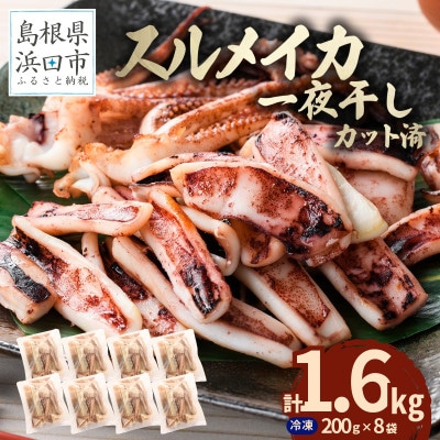 島根県産浜田市加工　食べ応え大満足のスルメイカ一夜干し(1.6kg)【小分け個包装】