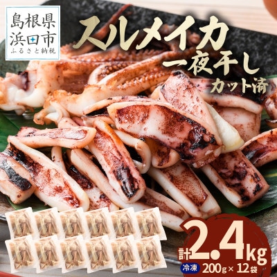 島根県産浜田市加工　食べ応え大満足のスルメイカ一夜干し(2.4kg)【小分け個包装】