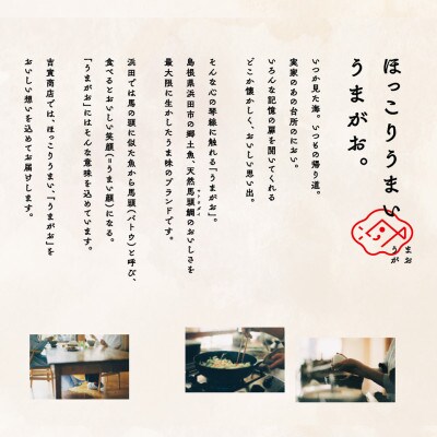 うまがお　らーめん　豚骨・醤油・味噌　3種セット　計6人前