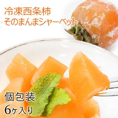 浜田自慢 西条柿そのまんまシャーベット 6個セット
