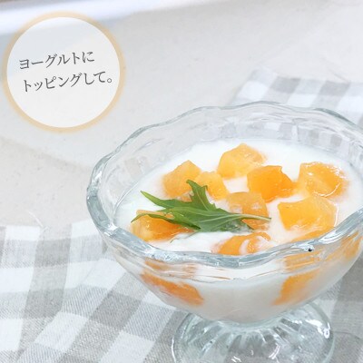浜田自慢 西条柿そのまんまシャーベット 6個セット