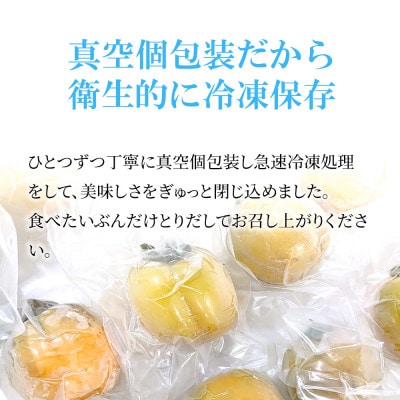 浜田自慢　訳あり冷凍西条柿(6個)
