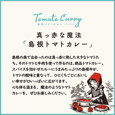島根トマトカレー 4箱セット