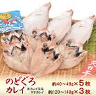 のどぐろ一夜干し5枚　カレイ天日干し3枚　計約600g