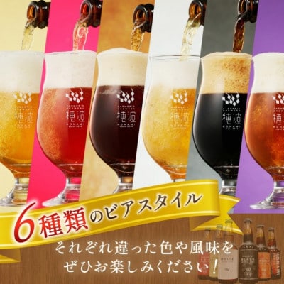 【毎月定期便】浜田のクラフトビール 6種飲み比べセット全3回