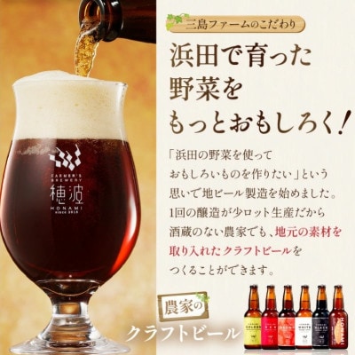 【毎月定期便】浜田のクラフトビール 6種飲み比べセット全12回