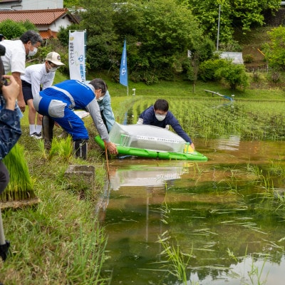 島根県浜田市弥栄町産　アイガモロボット米こしひかり　2kg