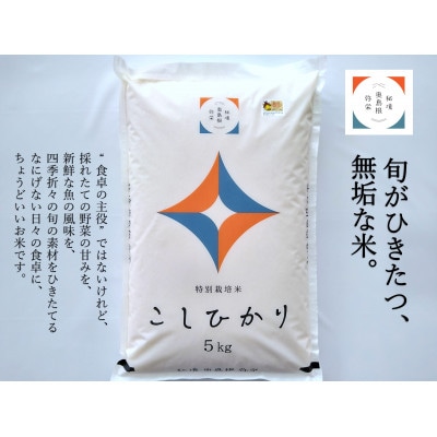 浜田市弥栄町産　特別栽培米「秘境奥島根弥栄」こしひかり　5kg
