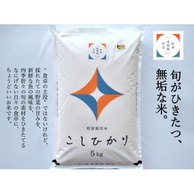 浜田市弥栄町産 特別栽培米「秘境奥島根弥栄」こしひかり 5kg | お礼品