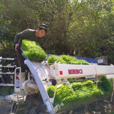 浜田市弥栄町産　特別栽培米「秘境奥島根弥栄」こしひかり　5kg