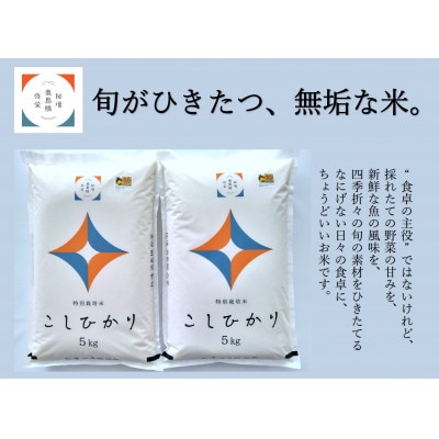 浜田市弥栄町産　特別栽培米「秘境奥島根弥栄」こしひかり　10kg