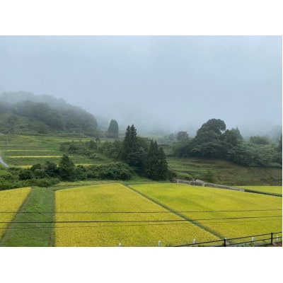 浜田市弥栄町産　特別栽培米「秘境奥島根弥栄」こしひかり　10kg