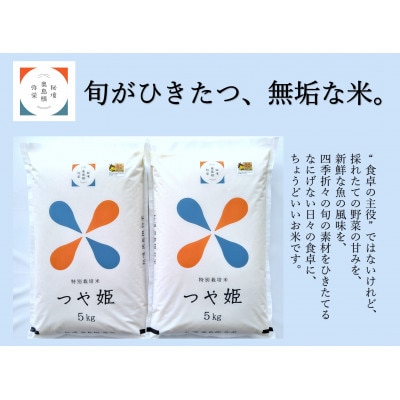 浜田市弥栄町産　特別栽培米「秘境奥島根弥栄」つや姫　10kg