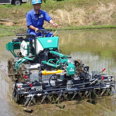 アイガモロボット米　秘境奥島根弥栄つや姫　2kg