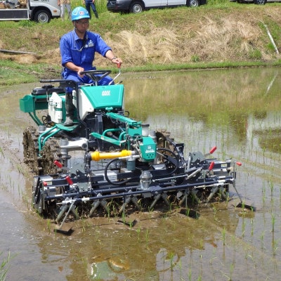アイガモロボット米　秘境奥島根弥栄つや姫　5kg