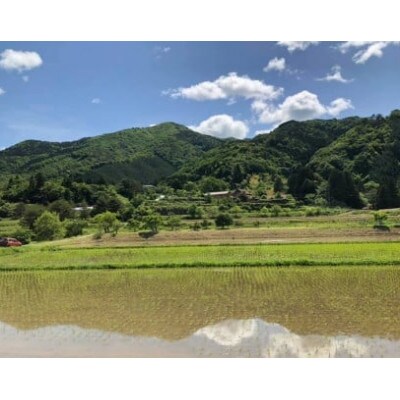 浜田市弥栄町産の美味しいお米「秘境奥島根弥栄」つや姫　栽培期間中農薬5割減　5kg