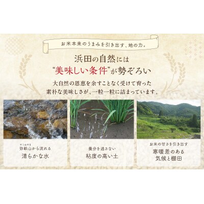 弥栄町産特別栽培米「秘境奥島根弥栄」こしひかり5kg