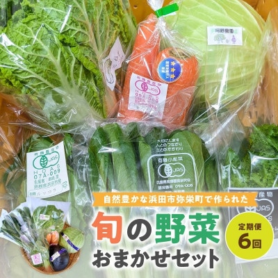 【2ヵ月毎定期便】弥栄町産野菜のおまかせセット全6回