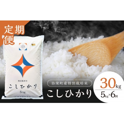 【毎月定期便】弥栄町産特別栽培米「秘境奥島根弥栄」こしひかり5kg全6回