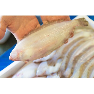 大秀商店の「干しのどぐろ2尾と笹かれい(朝食用)6尾」個包装セット