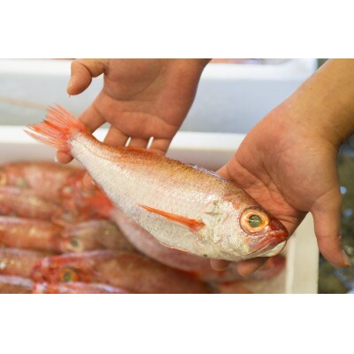 大秀商店の「干しのどぐろ2尾と笹かれい(朝食用)6尾」個包装セット