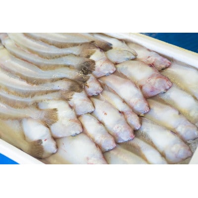大秀商店の「干し子持ち笹かれい(120g～140g)」6尾入り