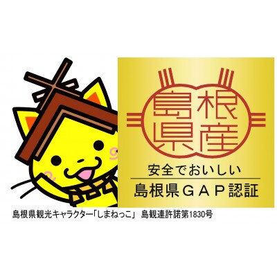 浜田・旭のうまいもん「坂本」こしひかり5kg