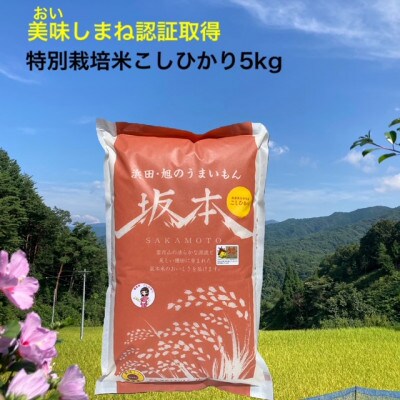 浜田・旭のうまいもん「坂本」特別栽培米こしひかり5kg
