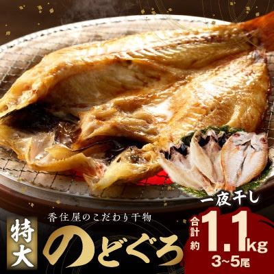 山陰浜田　創業大正10年香住屋のこだわり干物「大のどぐろ一夜干し(3～5尾)約1100g」