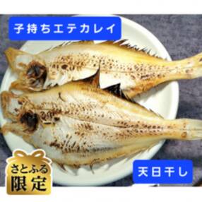 【さとふる限定】【2024年2月以降順次発送】天日　W干し子持ちエテカレイ(ソウハチ)約200g×4