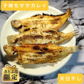 【さとふる限定】【2024年1月以降順次発送】天日(W)干し子持ち笹(ササ)カレイ約120g×4枚