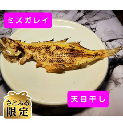 【さとふる限定】天日(W)干し　ミズカレイ　約120g×6枚