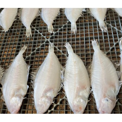 【さとふる限定】天日(W)干し　ミズカレイ　約120g×6枚