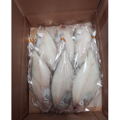 【さとふる限定】天日(W)干し　ミズカレイ　約120g×6枚